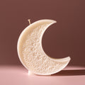 The Moon