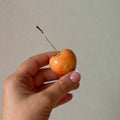 The Cherry