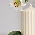 The Ribbed Pillar